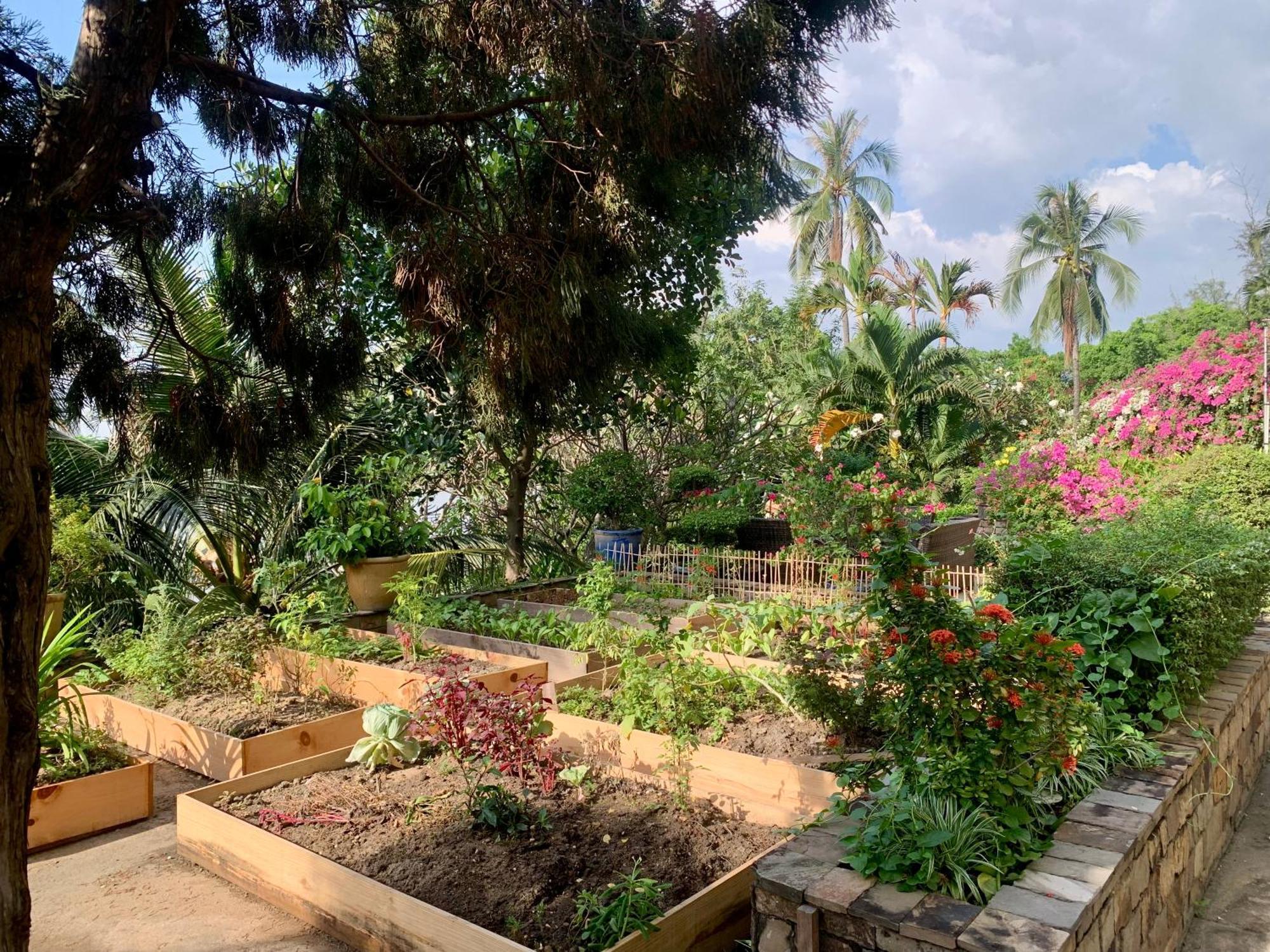 הו צ'י מין סיטי Saigon Domaine Luxury Residences מראה חיצוני תמונה